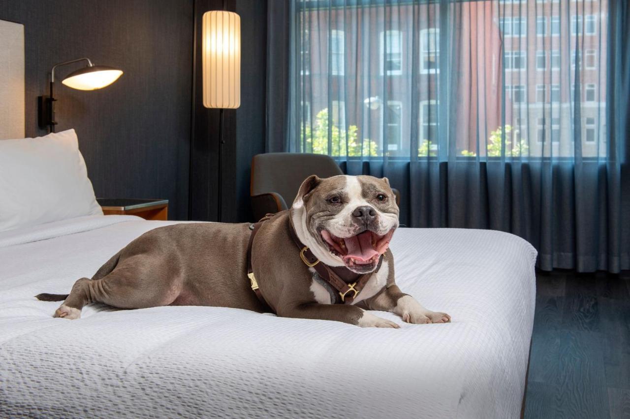 Courtyard By Marriott Washington, Dc Dupont Circle Washington
